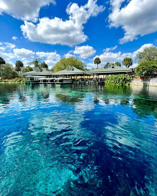 Silver Springs: Clear Kayak Wildlife Tour - Good To Know