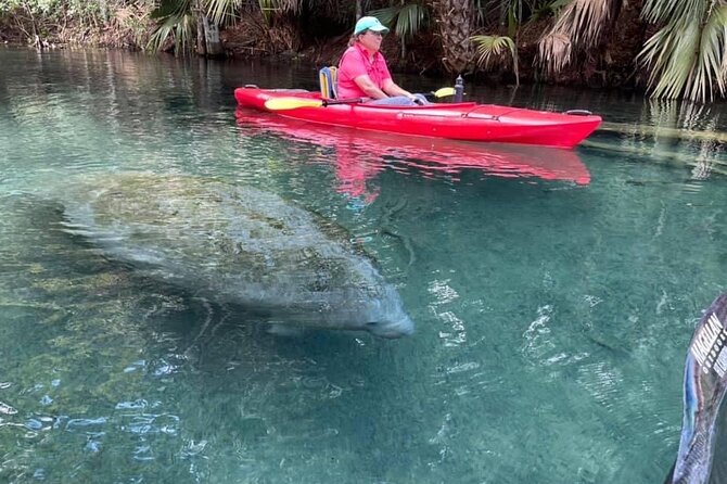 Silver Springs Clear Kayaking Manatee & Monkey Adventure - The Sum Up