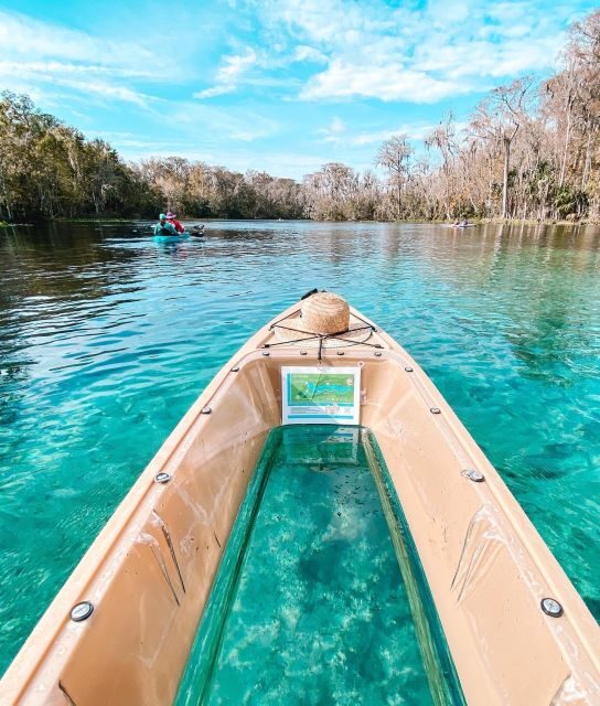 Silver Springs: Glass Bottom Kayak and Wildlife Tour - The Sum Up