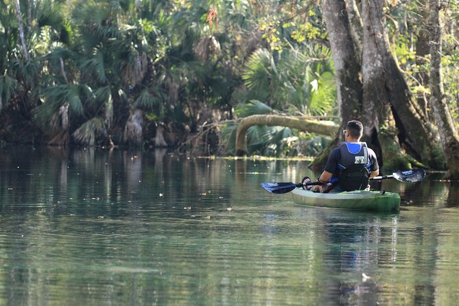 Silver Springs Manatee Kayak Tour - Traveler Photos