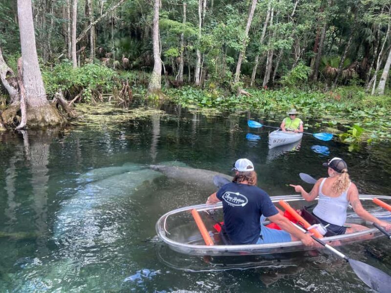 Silver Springs: Manatees, Monkeys, and Natural Spring Tour - An In-Depth Look at the Silver Springs Tour