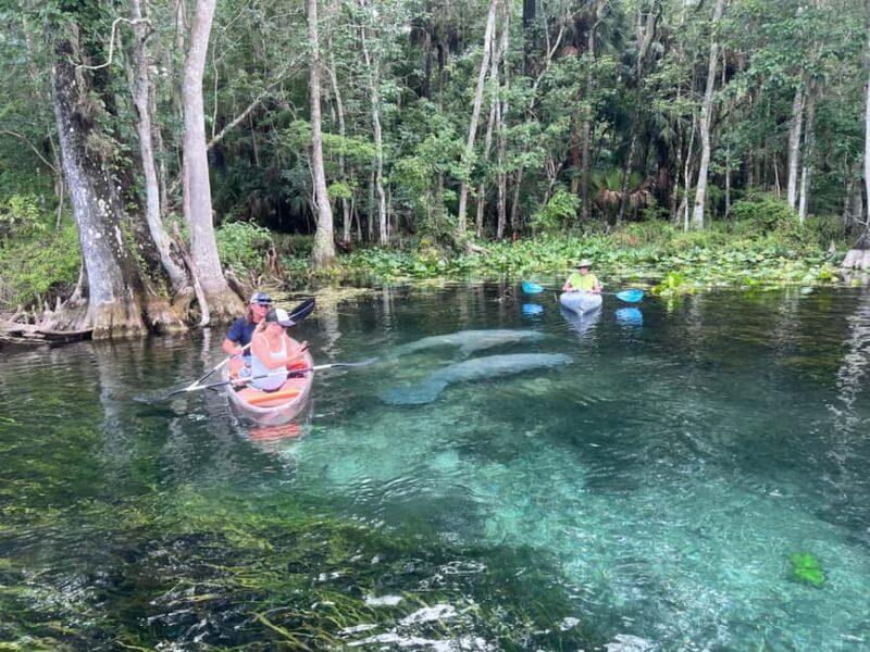 Silver Springs: Manatees, Monkeys, and Natural Spring Tour - FAQs