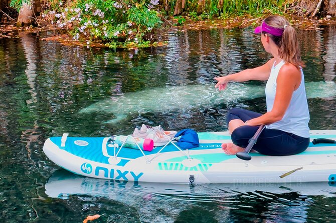 Silver Springs Paddle Board Adventure - Participant Requirements