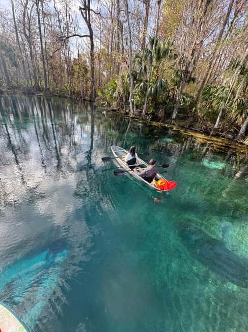 Silver Springs: Silver River Guided Kayak Tour - The Experience in Detail