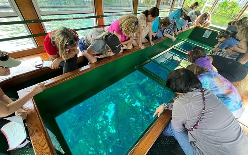 Silver Springs State Park Outdoor Adventure Tour - Choosing between a boat and a paddleboard
