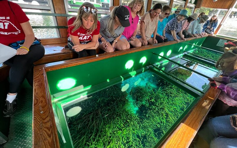 Silver Springs State Park Outdoor Adventure Tour - What the guides add