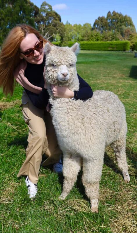 Silverstream Alpaca Farm Tour with Feeding and Guide - Location and Accessibility