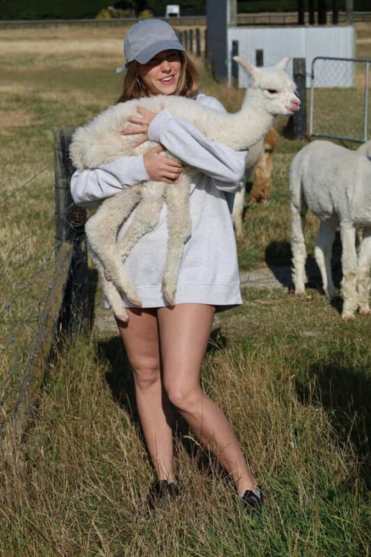 Silverstream Alpaca Farm Tour with Feeding and Guide - Authentic Visitor Experiences