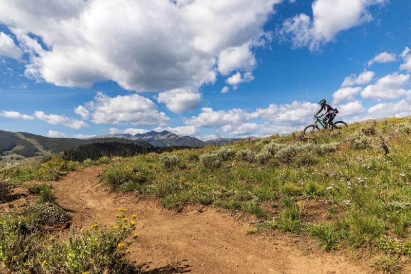 Silverthorne: Mountain Bike Ride Salt Lick Trails - Detailed Breakdown of the Experience