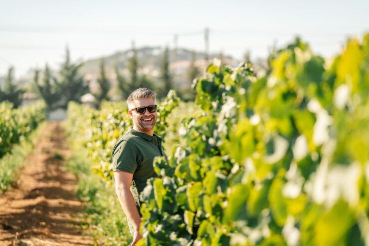 Silves: Algarve Vineyard Tour With Premium Wine Tasting - Experience Highlights