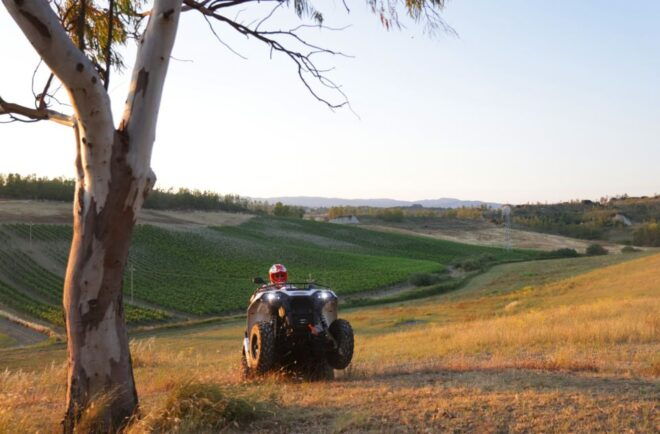 Simeri Quad Experience With Buffalo Mozzarella Tasting - Customer Review Feedback