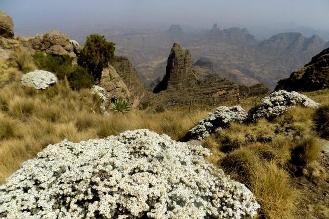 Simien Mountains – 4 Days Itinerary - The Sum Up