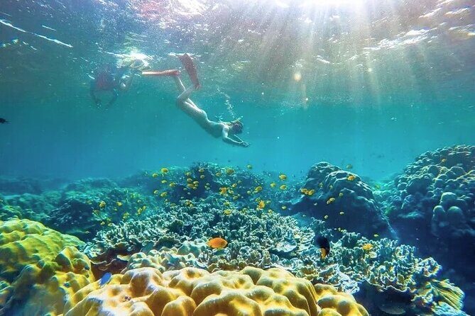 Similan Islands Day Tour from Phuket and Khaolak - Practical Tips for a Smooth Experience