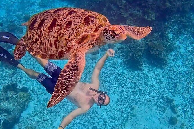 Similan Islands Full Day Tour from Phuket - Good To Know