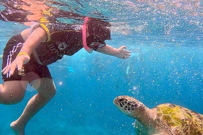 Similan Islands Full Day Tour from Phuket - Who Should Book This Tour?