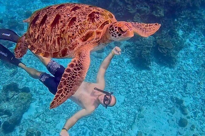 Similan Islands Full Day Tour from Phuket - FAQ