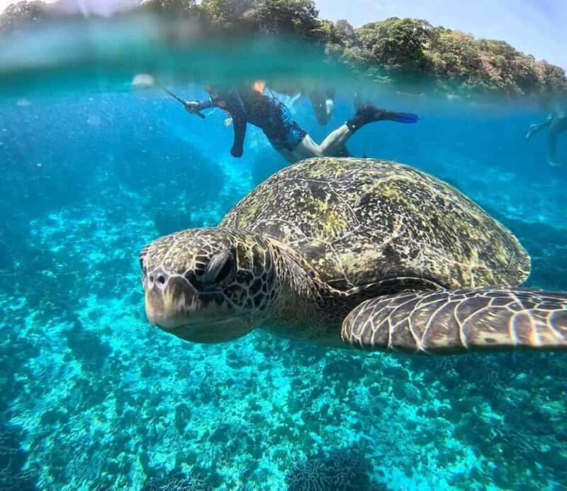 Similan Islands New Catamaran Tour+Free One-Way Airport Ride - Who Will Love This Tour?