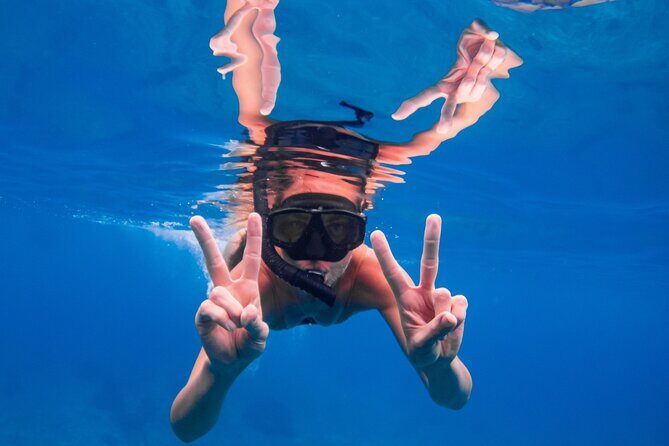 Similan Islands One day Tour All Exclusive (Transfer Khao Lak) - What Sets This Tour Apart?