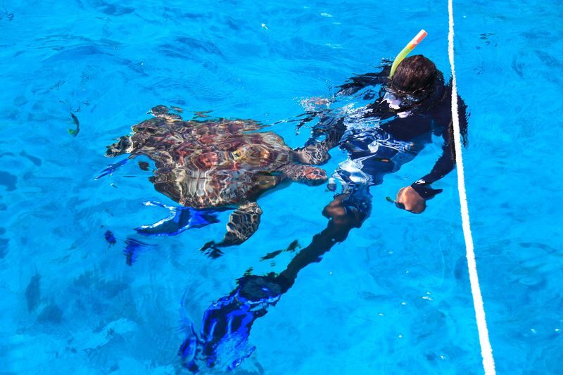 Similan Islands Snorkel Tour - Koh Payu and Koh Bangu: the main snorkeling stops