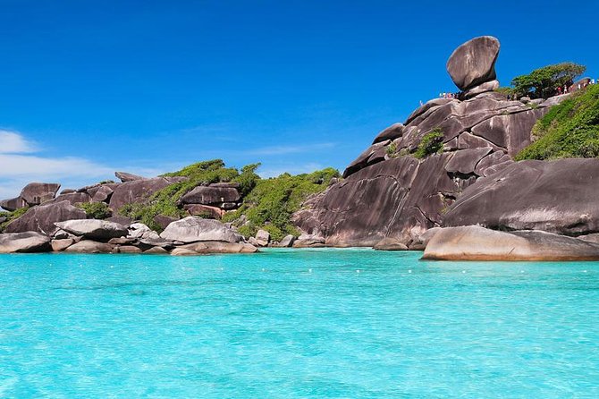 Similan Islands Snorkeling Tour By Speed Catamaran From Khao Lak - Dolphin Spotting and Sea Turtle Encounter