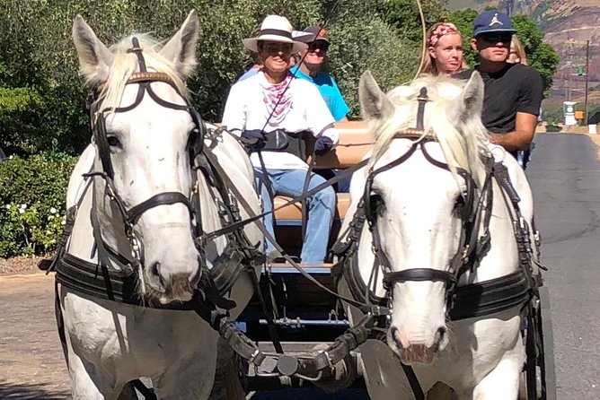 Simondium Horse and Carriage Ride  - Franschhoek - Overview of the Experience