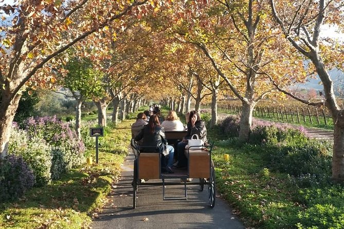 Simondium Small-Group Horse and Carriage Ride With Wine  - Franschhoek - Inclusions and Meeting Point