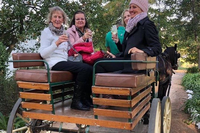 Simondium Small-Group Horse and Carriage Ride With Wine  - Franschhoek - What to Expect