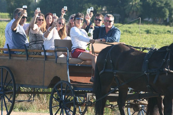 Simondium Small-Group Horse and Carriage Ride With Wine  - Franschhoek - Additional Information