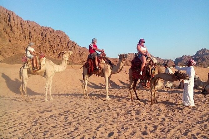 Sinai Desert Adventure Quad Bikes/ATV & Family Car Buggy - Cancellation Policy Details