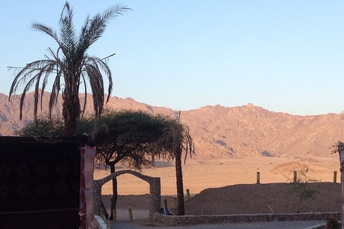 Sinai Desert Adventure Quad Bikes/ATV & Family Car Buggy - Frequently Asked Questions