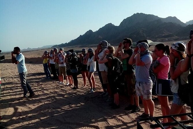 Sinai Desert Adventure Quad Bikes/ATV & Family Car Buggy - The Sum Up