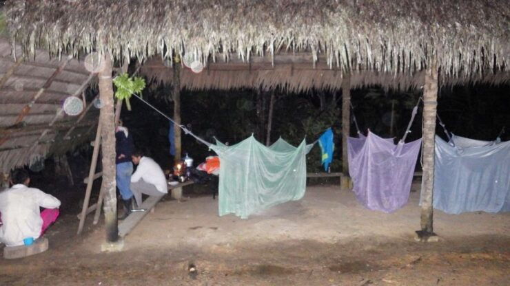 Since Leticia: Old-Growth Forest Trek-Camp 3 Days/2 Nights - Good To Know