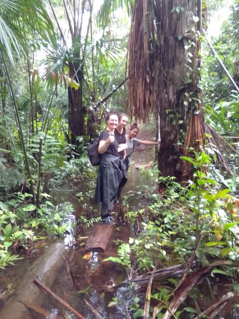 Since Leticia: Old-Growth Forest Trek-Camp 3 Days/2 Nights - Itinerary Details