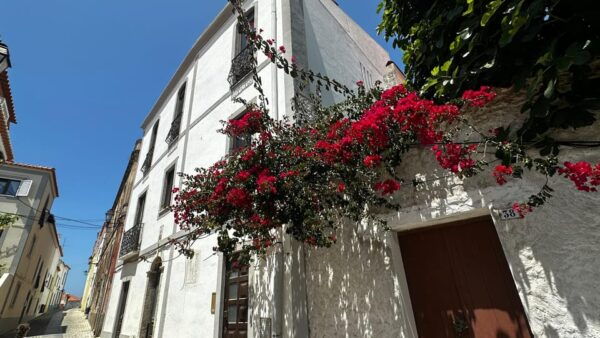 Sines and Porto Covo: Discover Costa Vicentina With a Local - Discover Charming Porto Covo