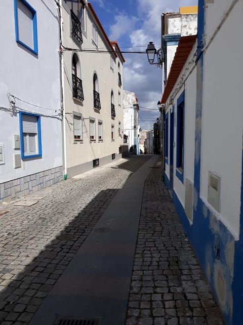Sines: Tour of the Historic Center, Museum & Castle of Sines - Experience Highlights