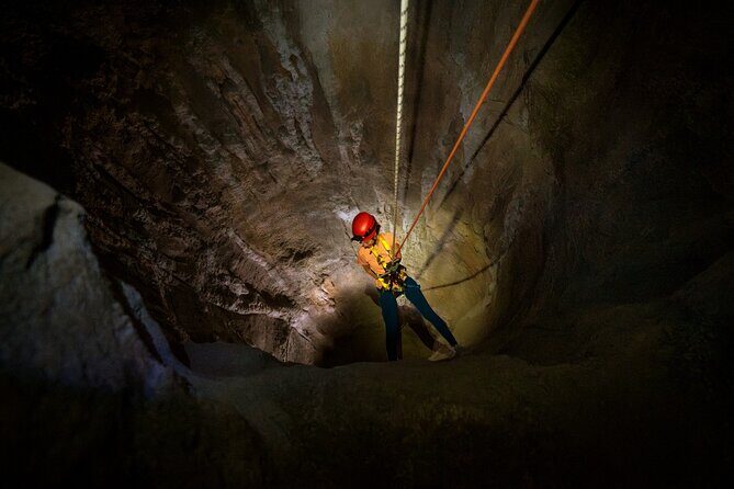 Singapore 3 Park Explorer Pass: Zoo, River Wonders, Bird Paradise - Singapore 3 Park Explorer Pass: Zoo, River Wonders, Bird Paradise – A Balanced Look