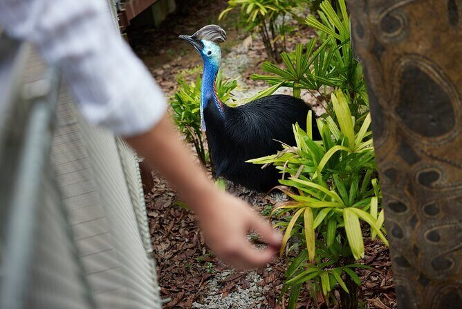 Singapore 3 Park Explorer Pass: Zoo, River Wonders, Bird Paradise - Is This Pass Worth It?