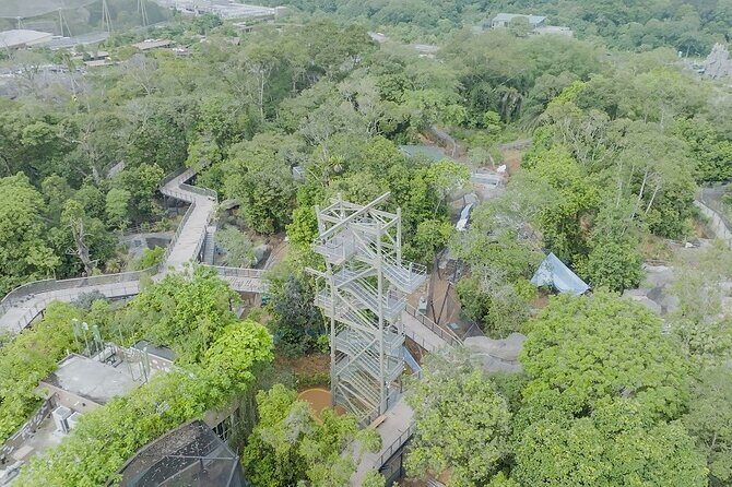 Singapore 3 Park Explorer Pass: Zoo, River Wonders, Bird Paradise - Who Should Consider This Experience?