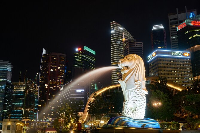 Singapore: 4 Hours - Private Car or Minibus Rental With Driver - Meeting and Pickup Information