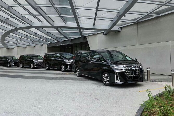 Singapore Airport Arrival Transportation With Meet & Greet - Background