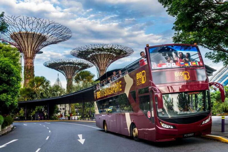 Singapore: Big Bus Hop-On Hop-Off Tour by Open-Top Bus - Who Will Love This Tour?