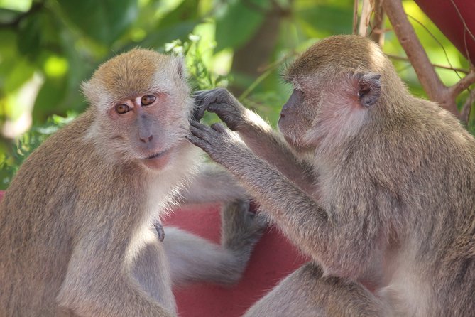 Singapore - Bike Adventure Beyond the Concrete Jungle - Stops and Highlights