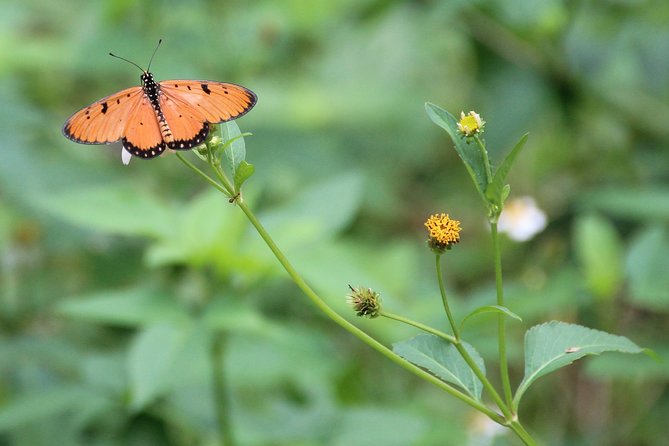 Singapore - Bike Adventure Beyond the Concrete Jungle - Traveler Reviews