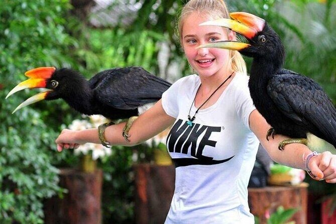 Singapore Bird Paradise E-Tickets - What to Expect from Singapore Bird Paradise