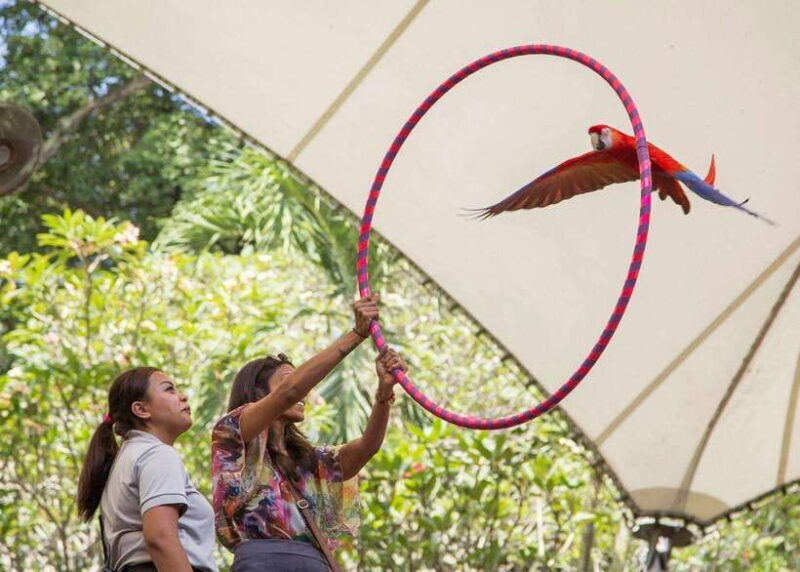 Singapore: Bird Paradise Entry Ticket - The Practical Side: What’s Included and What’s Not