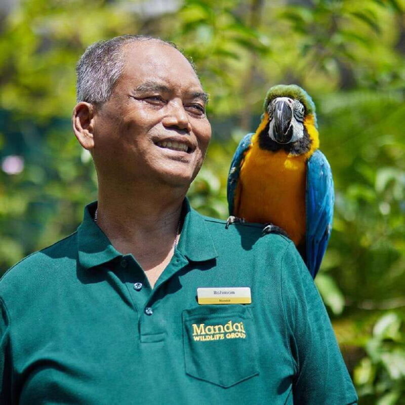 Singapore: Bird Paradise Entry Ticket - Why This Tour Is Worth Considering