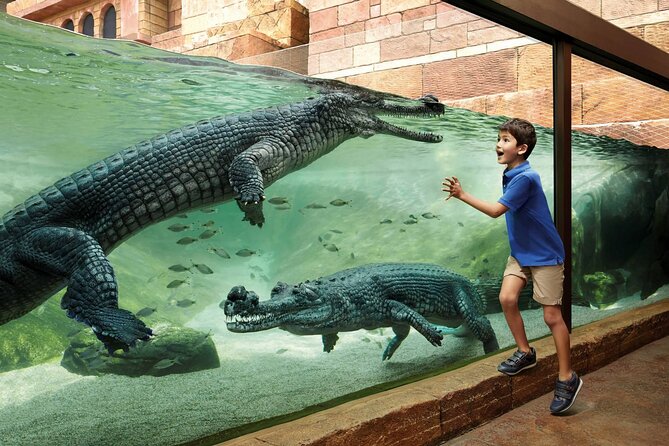 Singapore Bird Park & River Wonder (Tickets & Transfer ) - Directions