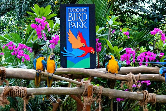 Singapore Bird Park & River Wonder (Tickets & Transfer ) - Common Questions