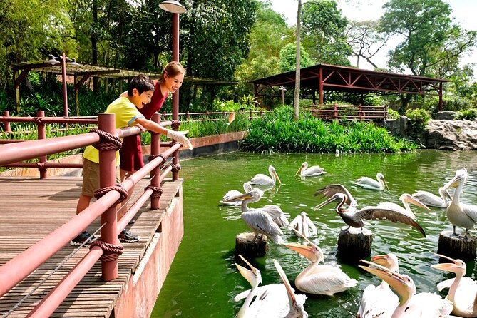 Singapore Bird Park & River Wonder (Tickets & Transfer ) - The Sum Up
