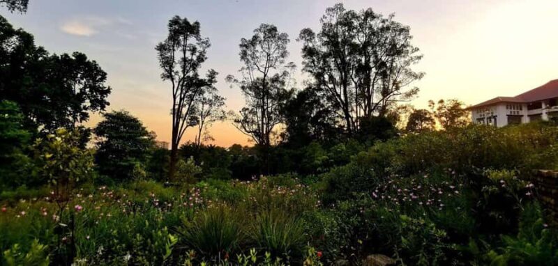 Singapore: Botanic Gardens & Tiong Bahru Walk w/Breakfast - Good To Know